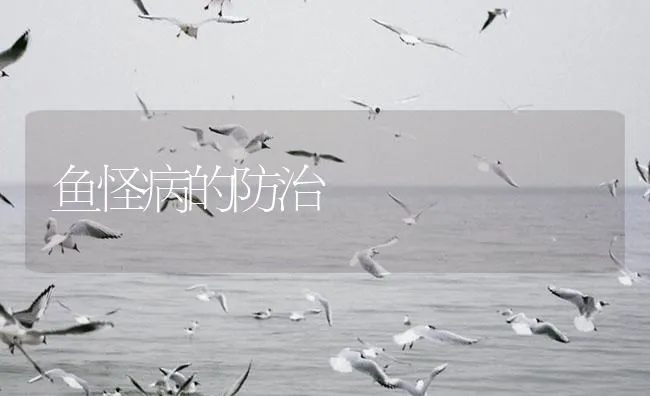 鱼怪病的防治 | 海水养殖技术