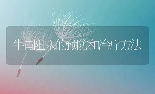 牛胃阻塞的预防和治疗方法 | 动物养殖百科