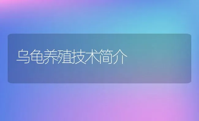 乌龟养殖技术简介 | 水产养殖知识