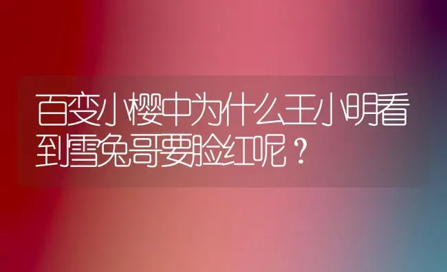 蓝双布偶贵还是海双布偶贵？ | 动物养殖问答