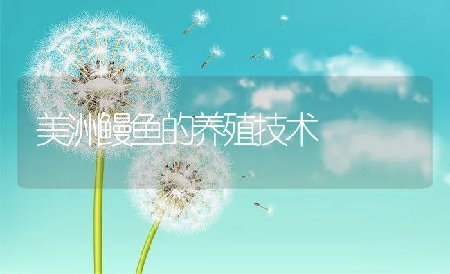 美洲鳗鱼的养殖技术 | 动物养殖饲料