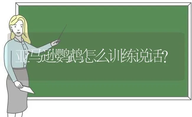 亚马逊鹦鹉怎么训练说话？ | 动物养殖问答