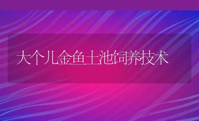 大个儿金鱼土池饲养技术 | 动物养殖教程