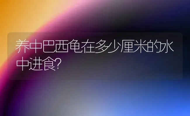 西非侧颈龟长大了好看吗？ | 动物养殖问答