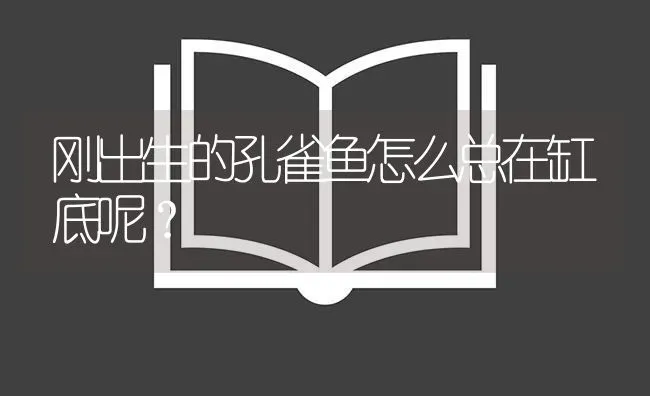 刚出生的孔雀鱼怎么总在缸底呢？ | 鱼类宠物饲养