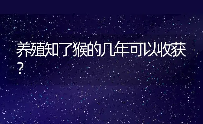 养殖知了猴的几年可以收获？ | 动物养殖百科