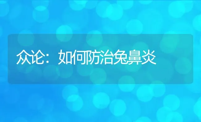 众论：如何防治兔鼻炎 | 水产养殖知识