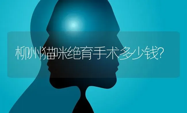 给小狗狗去什么名字好听？ | 动物养殖问答