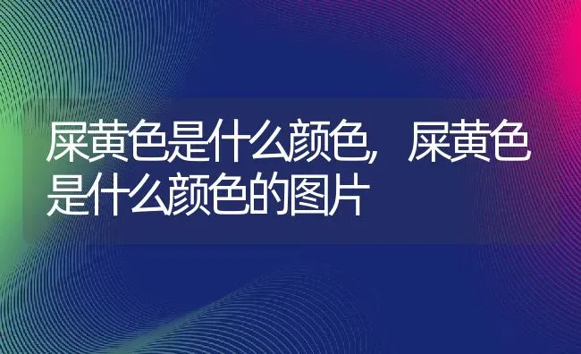 屎黄色是什么颜色,屎黄色是什么颜色的图片 | 宠物百科知识