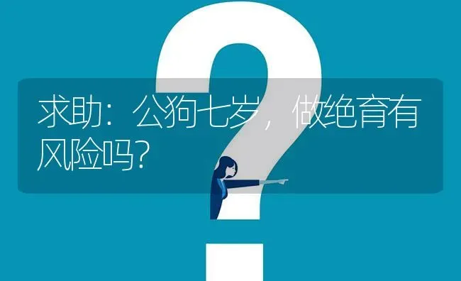 求助：公狗七岁，做绝育有风险吗？ | 动物养殖问答