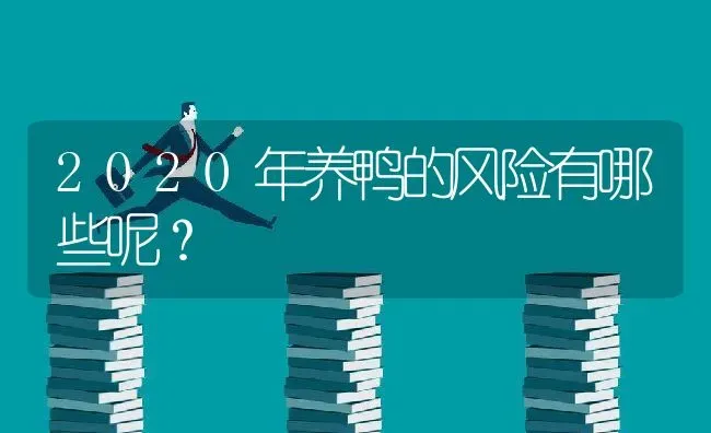 2020年养鸭的风险有哪些呢？ | 动物养殖百科