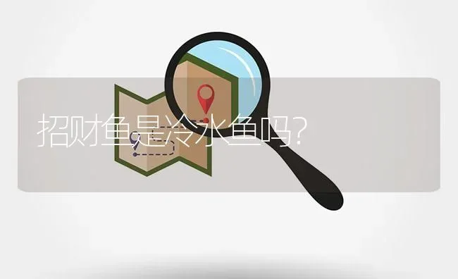 招财鱼是冷水鱼吗？ | 鱼类宠物饲养