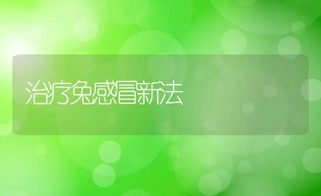 治疗兔感冒新法 | 动物养殖学堂