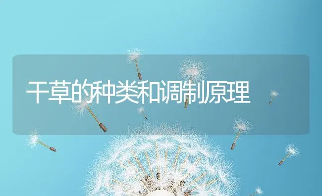 罗非鱼苗种寄生虫防治一例 | 海水养殖技术