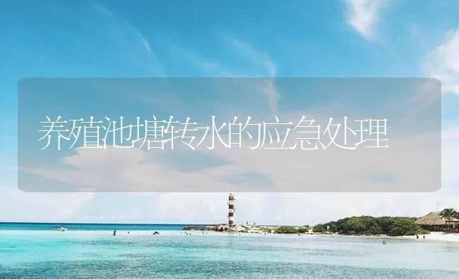 养殖池塘转水的应急处理 | 海水养殖技术