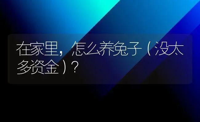 在家里，怎么养兔子（没太多资金）？ | 动物养殖问答