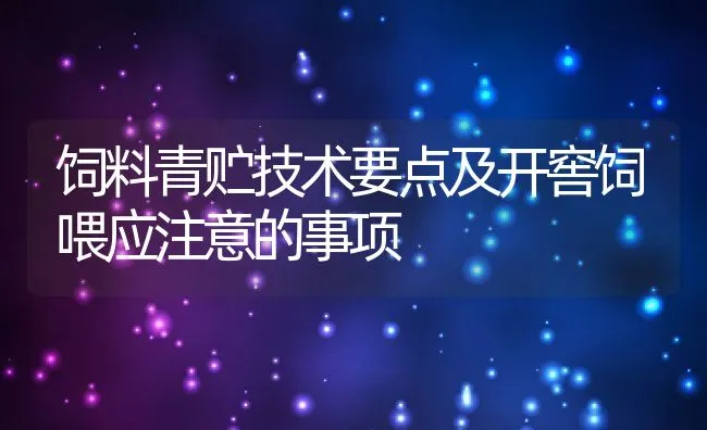 北方獭兔规模养殖技术要点 | 动物养殖饲料