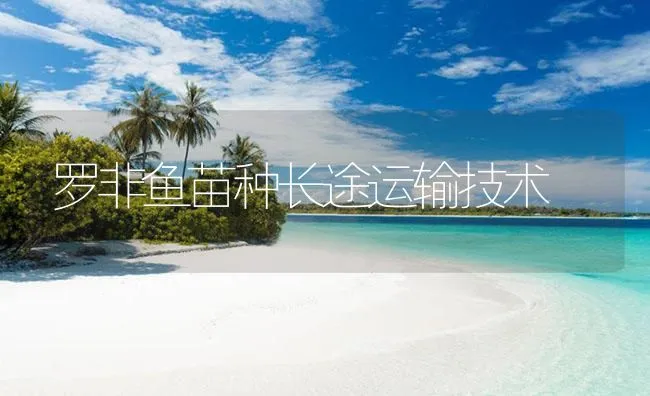 罗非鱼苗种长途运输技术 | 海水养殖技术