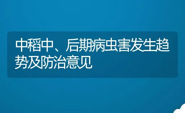 中稻中、后期病虫害发生趋势及防治意见 | 动物养殖学堂