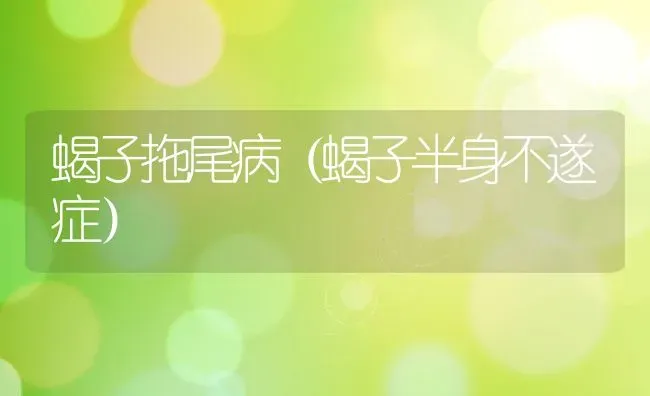 蝎子拖尾病（蝎子半身不遂症） | 动物养殖百科