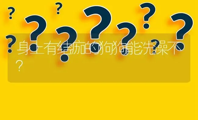 身上有结痂的狗狗能洗澡不？ | 动物养殖问答