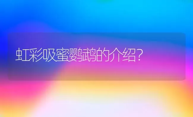 虹彩吸蜜鹦鹉的介绍？ | 动物养殖问答