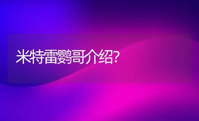 米特雷鹦哥介绍？ | 动物养殖问答