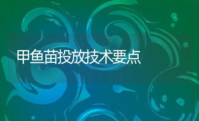 甲鱼苗投放技术要点 | 动物养殖饲料