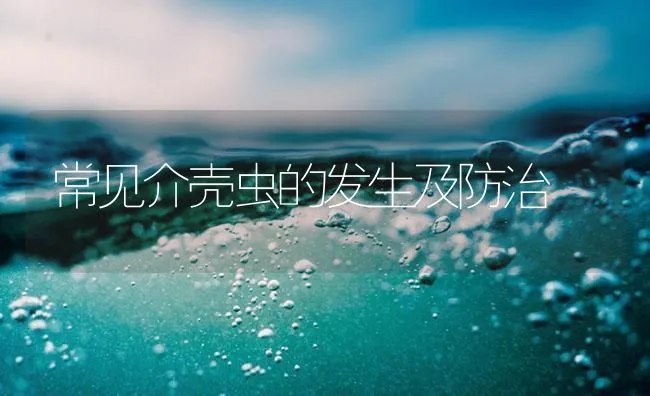 常见介壳虫的发生及防治 | 海水养殖技术