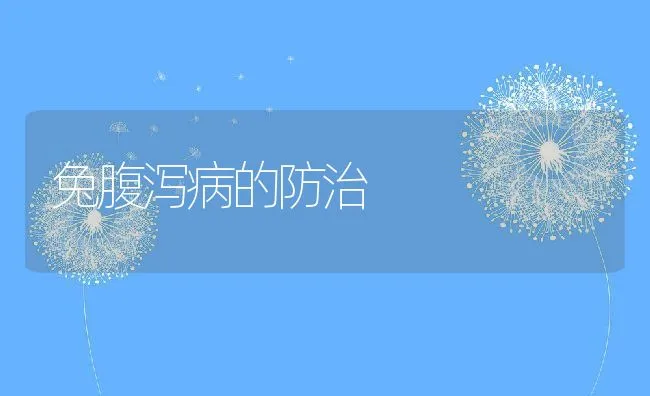 兔腹泻病的防治 | 水产养殖知识