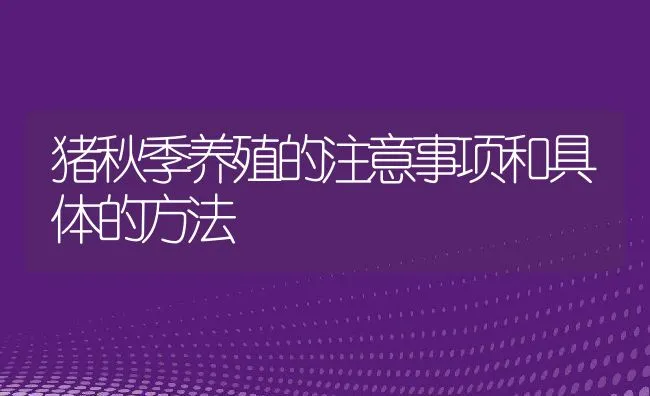 猪秋季养殖的注意事项和具体的方法 | 动物养殖饲料