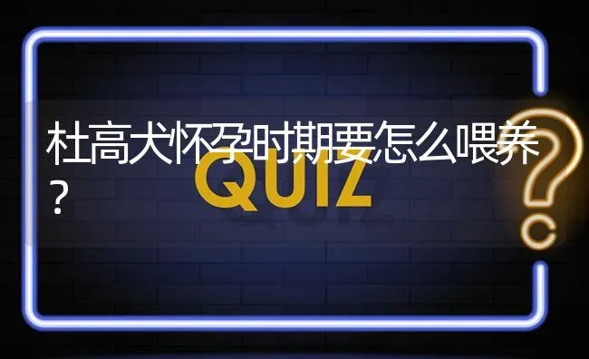 杜高犬怀孕时期要怎么喂养？ | 动物养殖问答