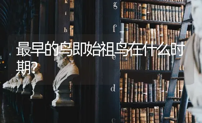 最早的鸟即始祖鸟在什么时期？ | 动物养殖问答