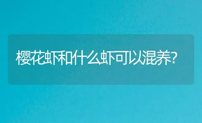 什么发明是受到动物的启发夜间飞行的秘密？ | 鱼类宠物饲养