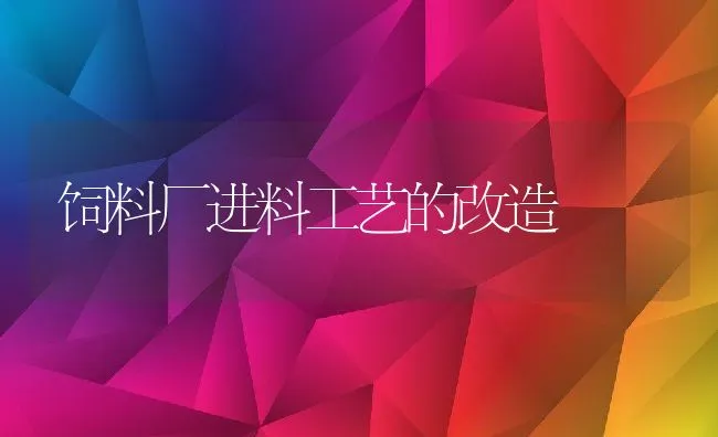 饲料厂进料工艺的改造 | 动物养殖饲料