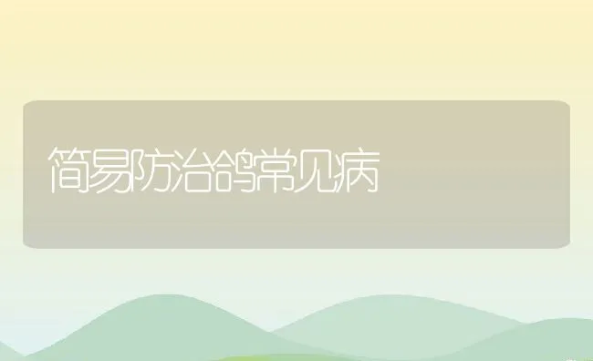 简易防治鸽常见病 | 水产养殖知识