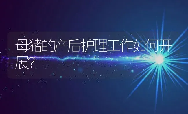母猪的产后护理工作如何开展？ | 动物养殖百科