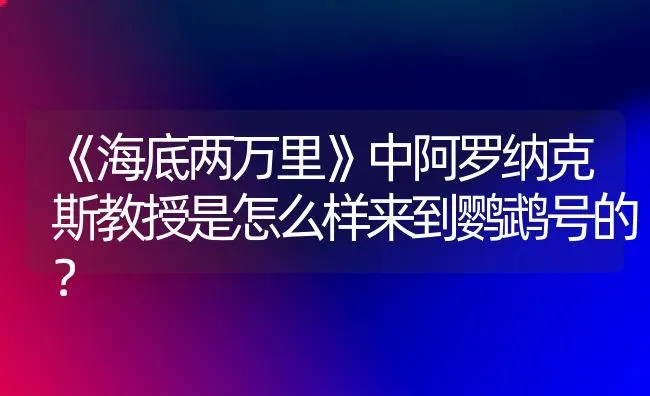 马犬、狼青、德牧、黑背、杜宾哪个好？ | 动物养殖问答