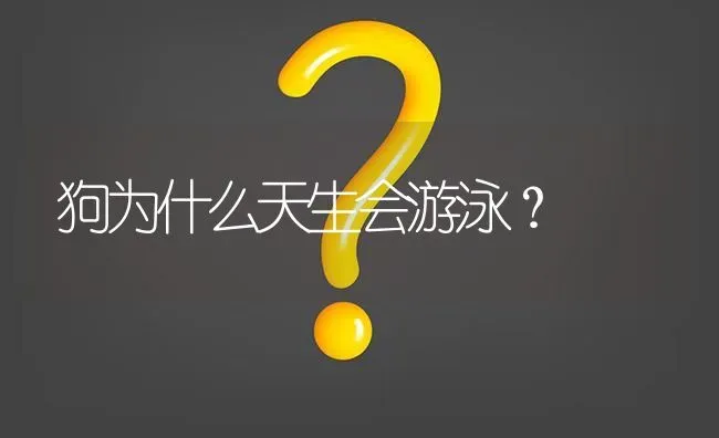 狗为什么天生会游泳？ | 动物养殖问答