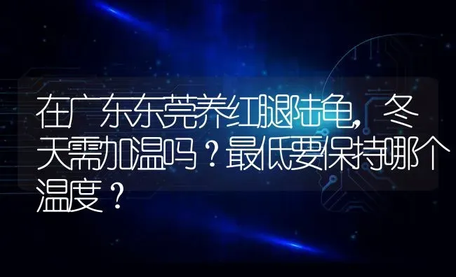 在广东东莞养红腿陆龟，冬天需加温吗？最低要保持哪个温度？ | 动物养殖问答