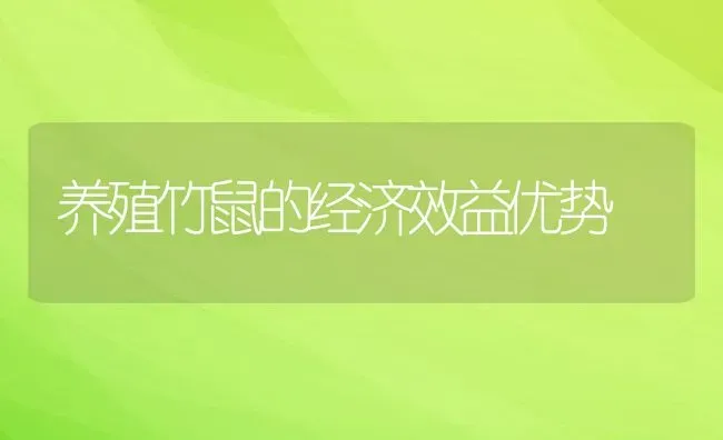 养殖竹鼠的经济效益优势 | 动物养殖教程