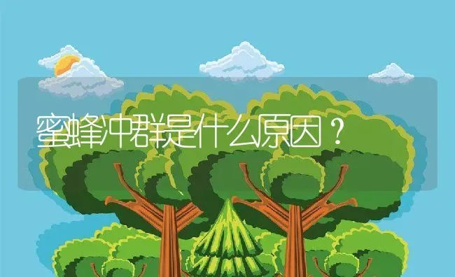 蜜蜂冲群是什么原因？ | 动物养殖百科