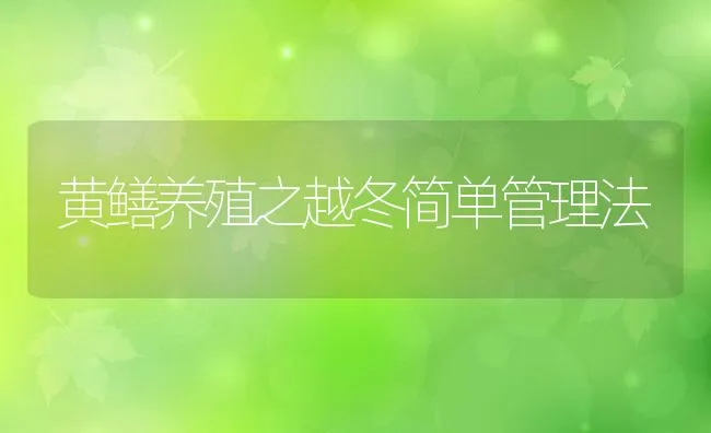 黄鳝养殖之越冬简单管理法 | 动物养殖饲料