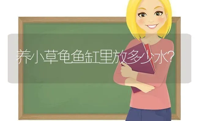 锤系德牧正常几个月立耳？ | 动物养殖问答