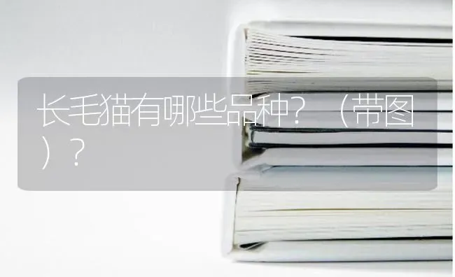 长毛猫有哪些品种？（带图）？ | 动物养殖问答