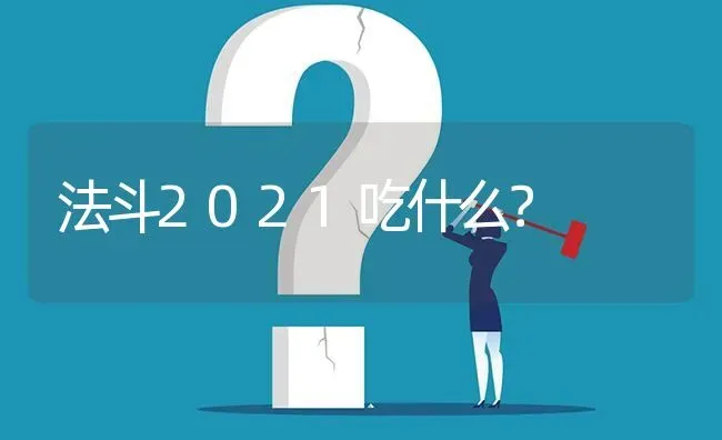 法斗2021吃什么？ | 动物养殖问答