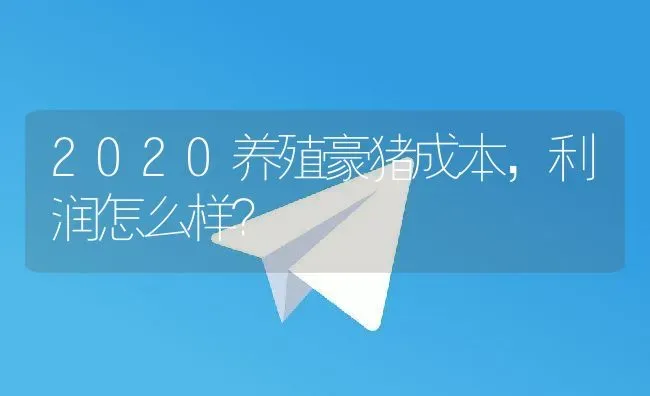 2020养殖豪猪成本，利润怎么样？ | 动物养殖百科