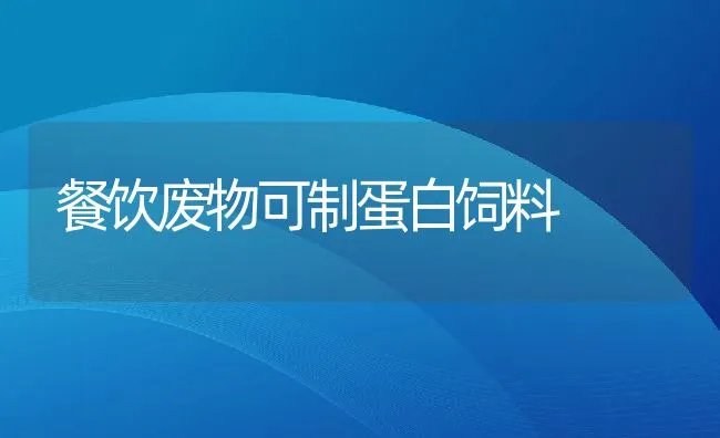 龟的最佳饲料配方 | 海水养殖技术