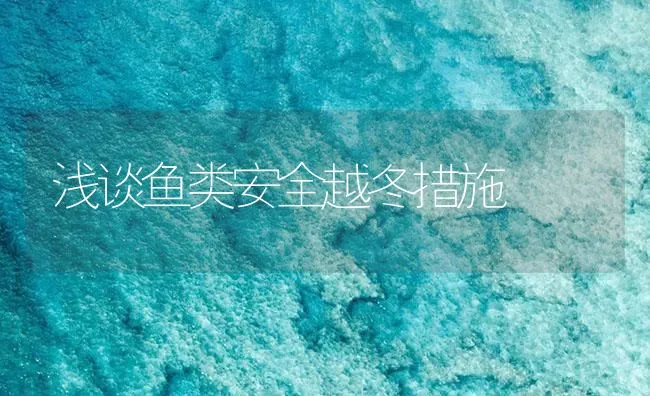 浅谈鱼类安全越冬措施 | 海水养殖技术