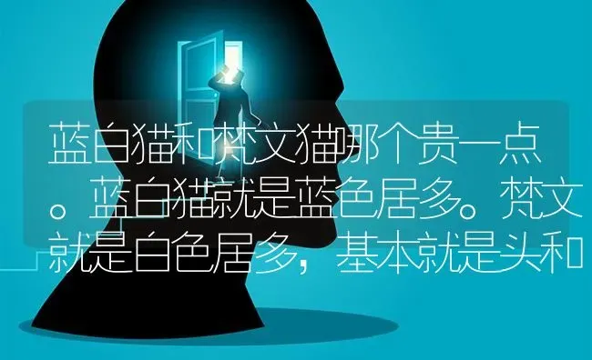 蓝白猫和梵文猫哪个贵一点。蓝白猫就是蓝色居多。梵文就是白色居多，基本就是头和尾巴是带有蓝色的？ | 动物养殖问答